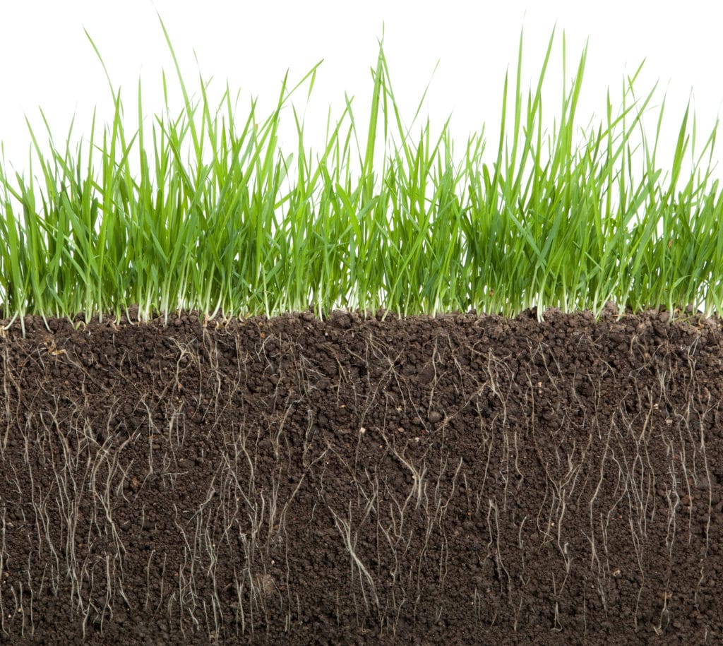 humic acid: the science of humus and how it benefits soil