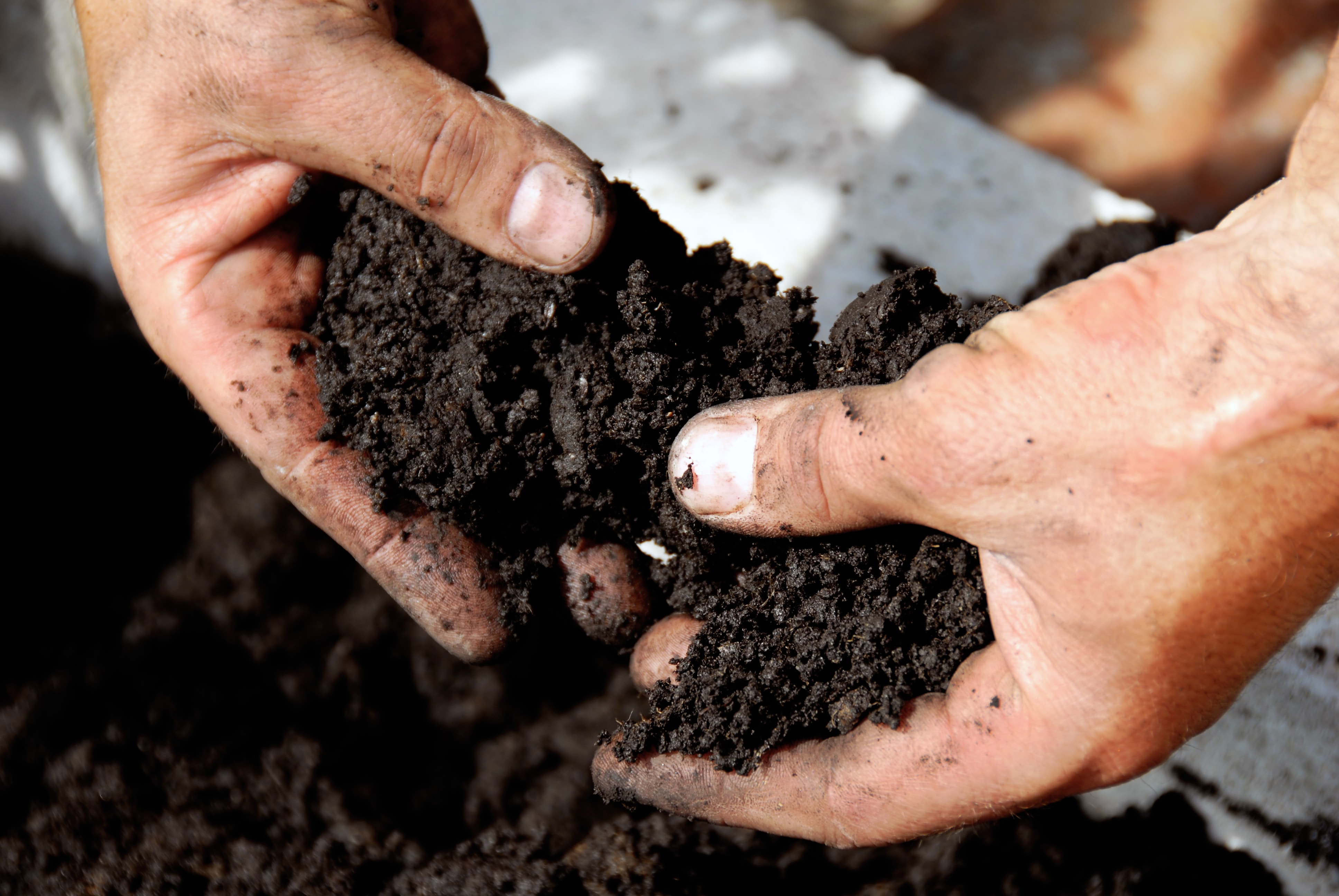 Soil For High Yielding High Quality Crops | EcoFarming Daily