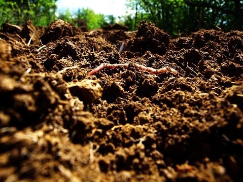 Healthy Soil, Defined