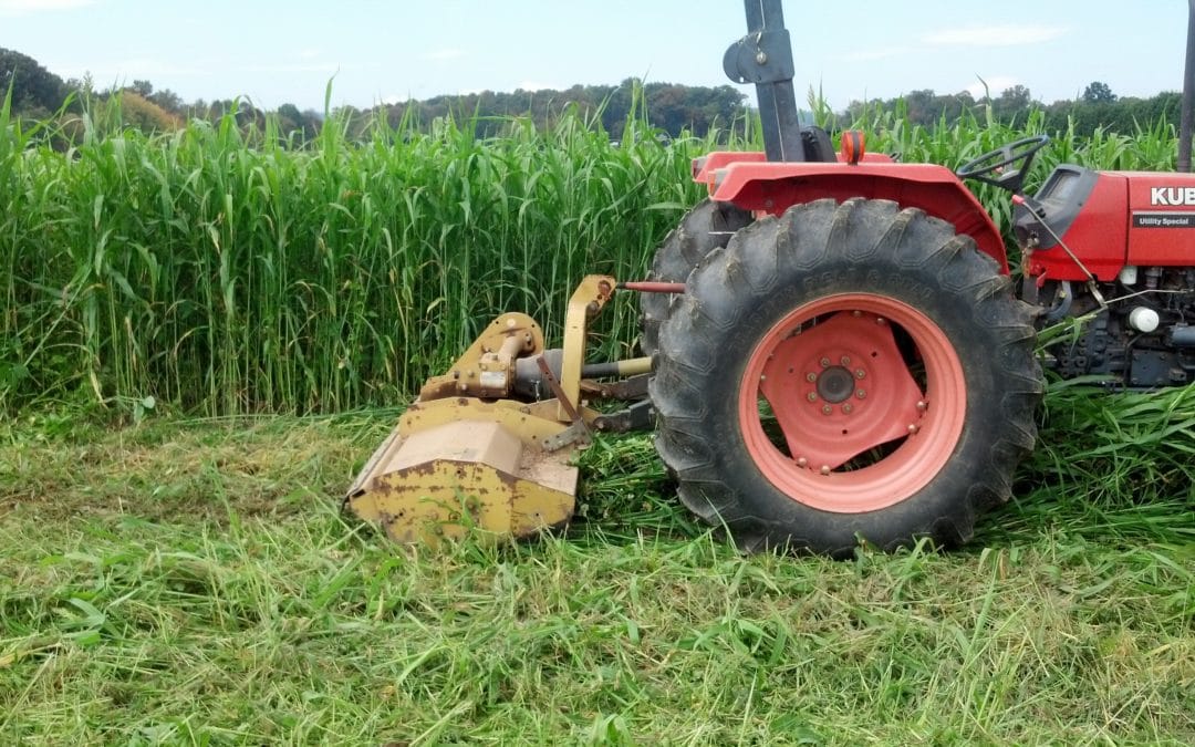 Cover Cropping & Green Manures