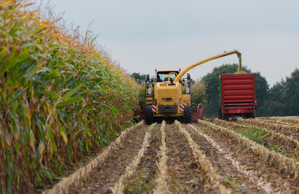 Key Elements for Maximum Yield