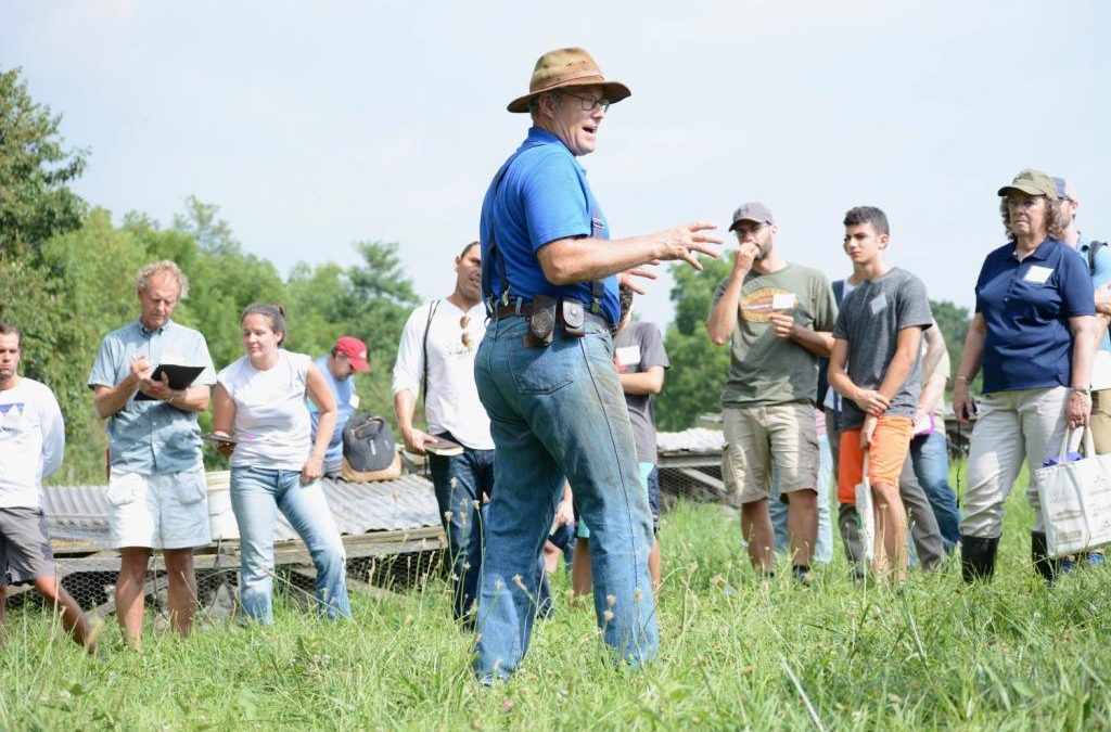 Farming Success: Joel Salatin’s Top 10 Markers – EcoFarming Daily