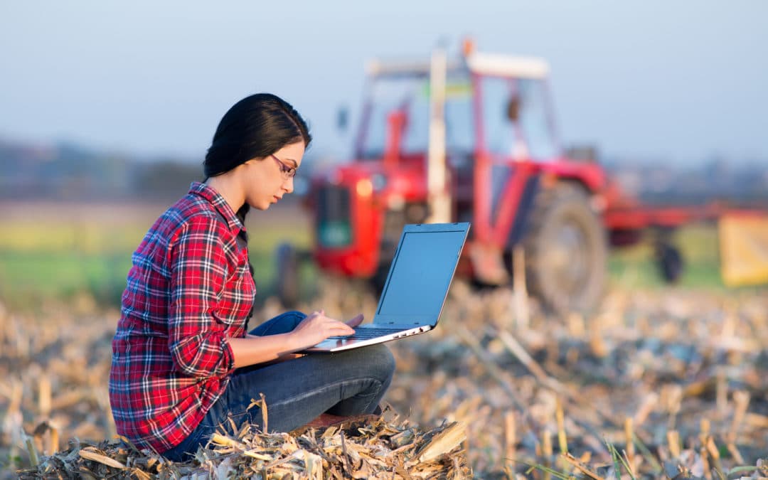 Organic Agriculture Can Feed the World