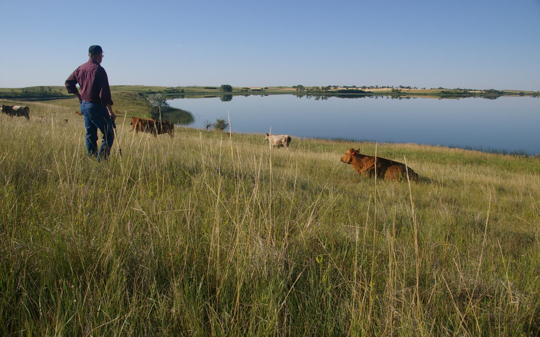 Rancher Puts Allan Savory Principles into Action