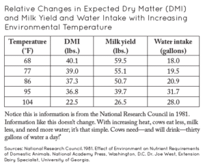 Preventing & Treating Heat Stroke in Cattle Herds | EcoFarming Daily