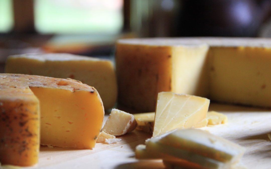 7 Keys to Dairying, Cheesemaking Success