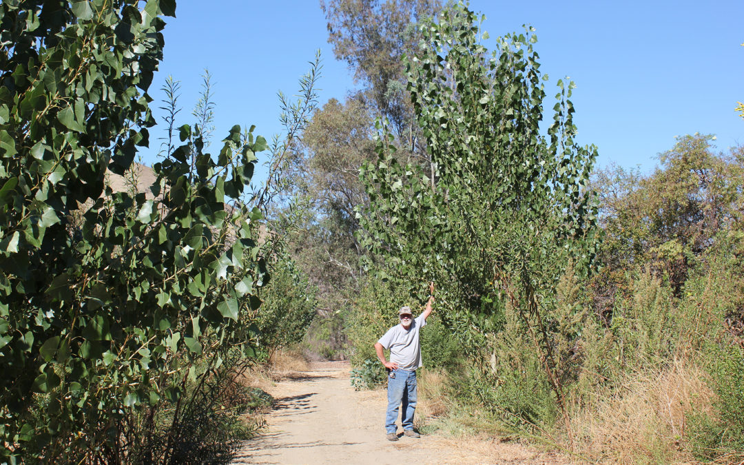 Wild Farm Alliance Supports Connections Between Farmer, Ecosystems & Community