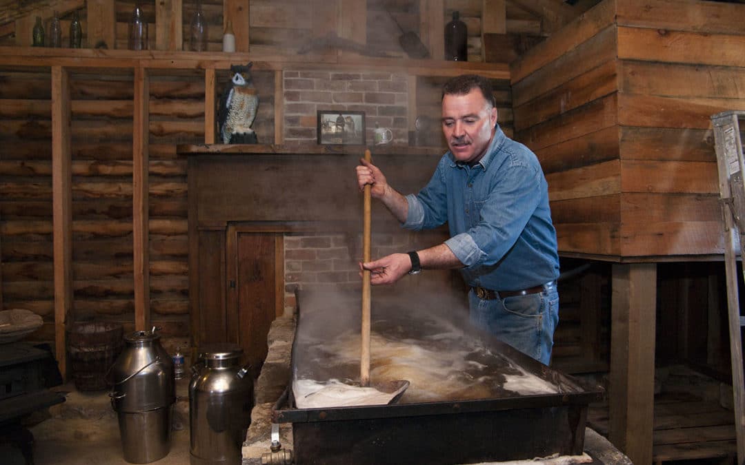 From Tree to Bottle: Maple Syrup & Agritourism – EcoFarming Daily