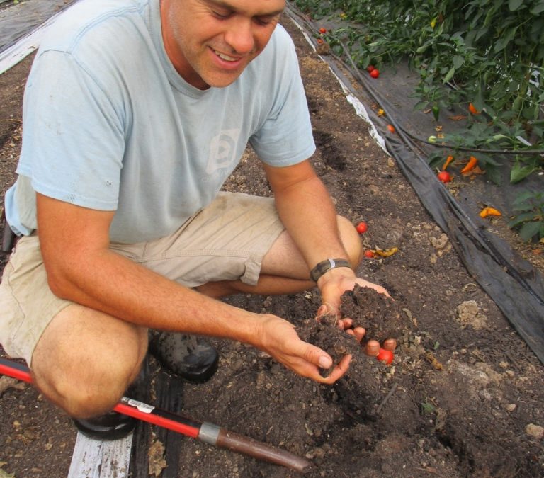 Quest for Quality: Growing Nutrient-Dense Crops