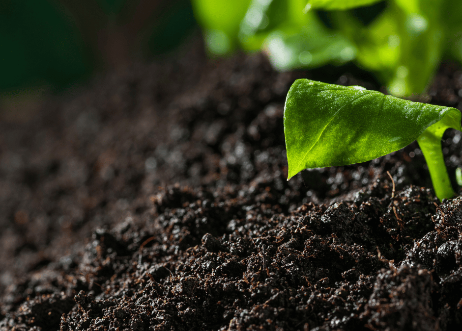 Farming Microbiology: Humification vs. Mineralization