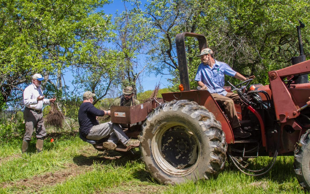 Agroforestry Movement Takes Root