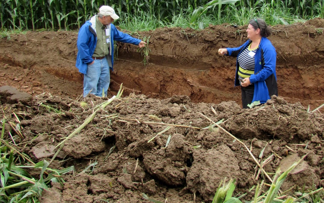 Farming the CO2 Factor