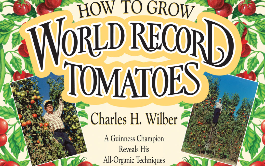 How to Grow World Record Tomatoes