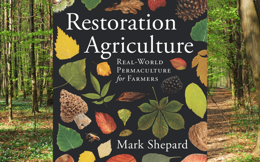Transitional Strategy and Agroforestry