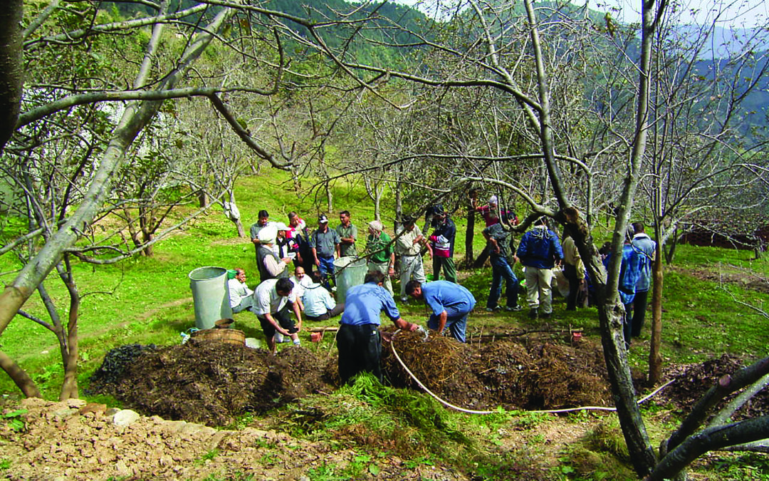 Consider Biodynamic Growing