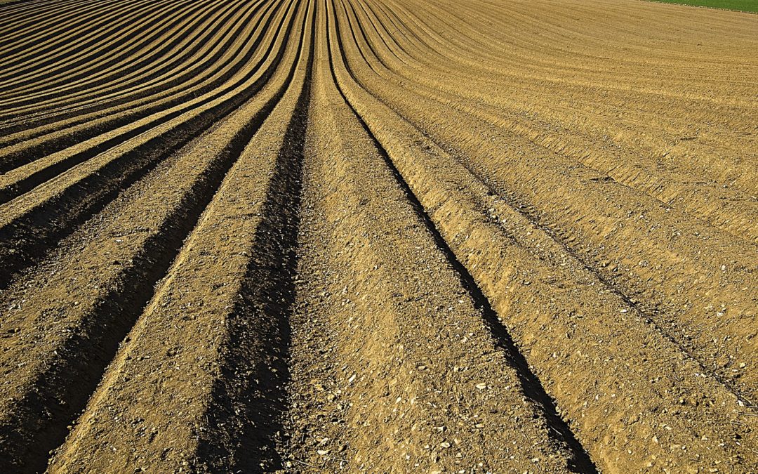 Why Considering Soil Biofortification & Including Priming Practices is a Long-Term Response to Climate Stresses