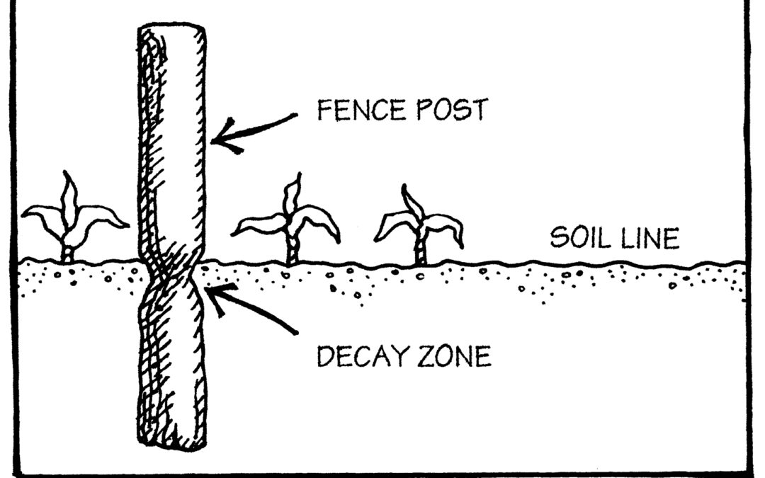 Tillage for Healthy Soil