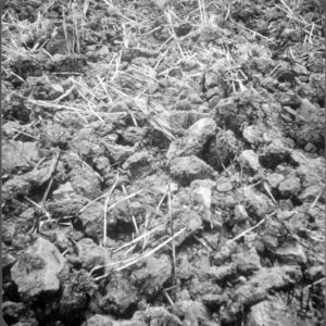 soil crumb definition