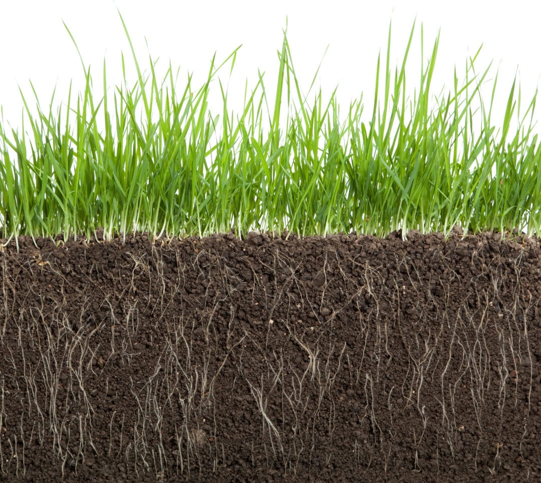 Humic Acid and How it Benefits Soil | EcoFarming Daily