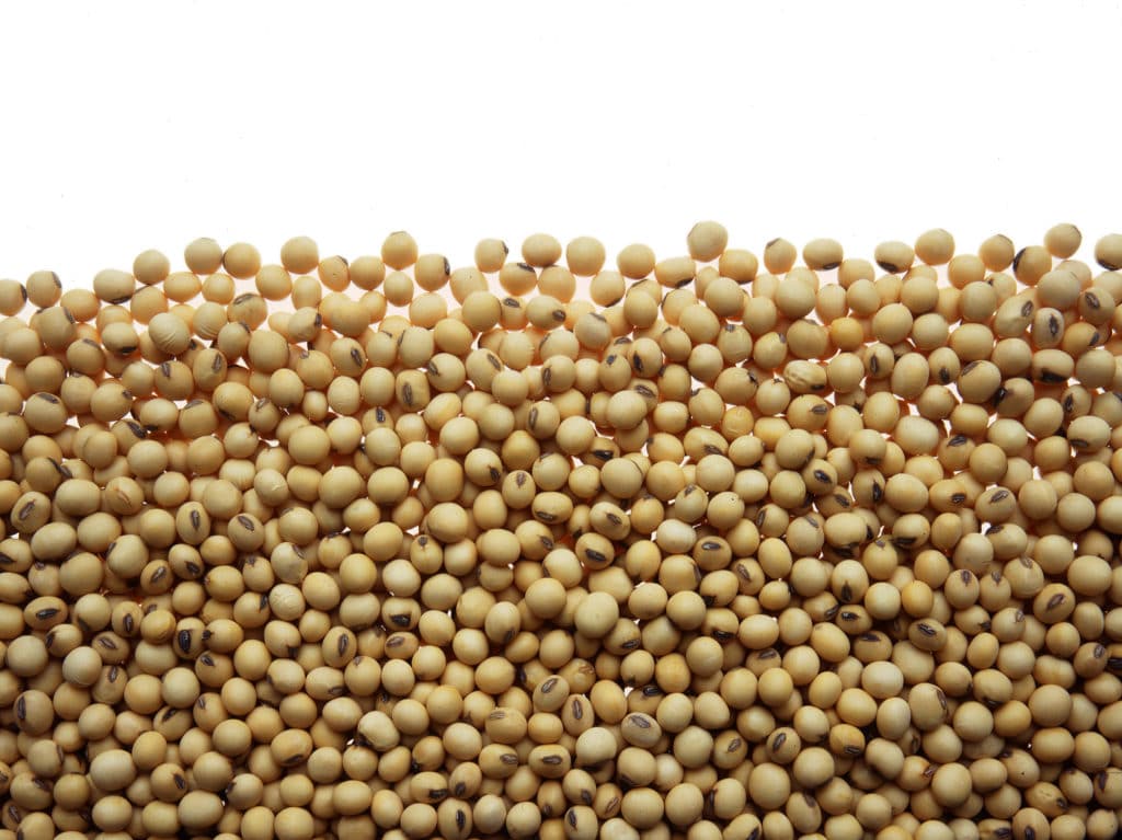 How to Cook Soybeans