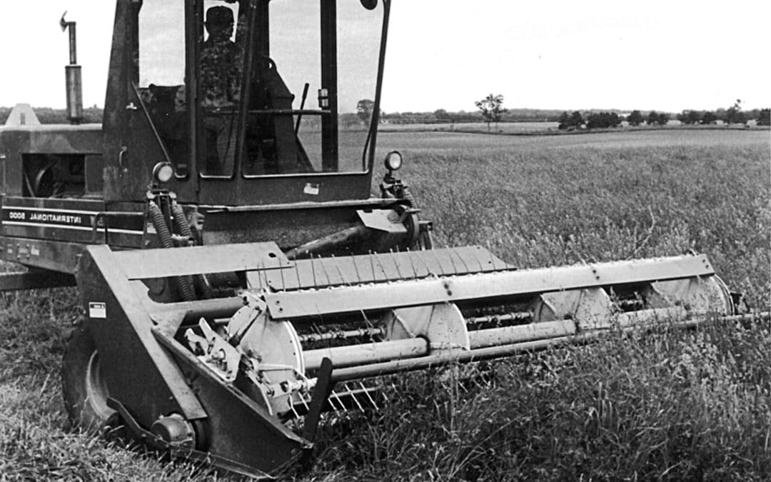 Harvesting and Storing Soybeans