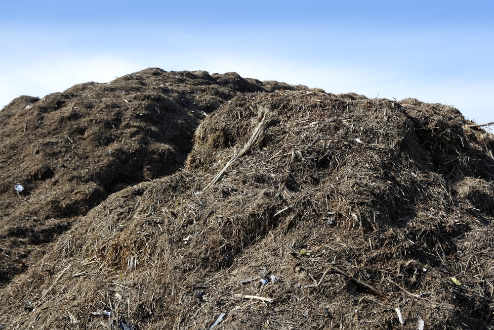 How to turn wood chips into a great compost heap, Gardening advice