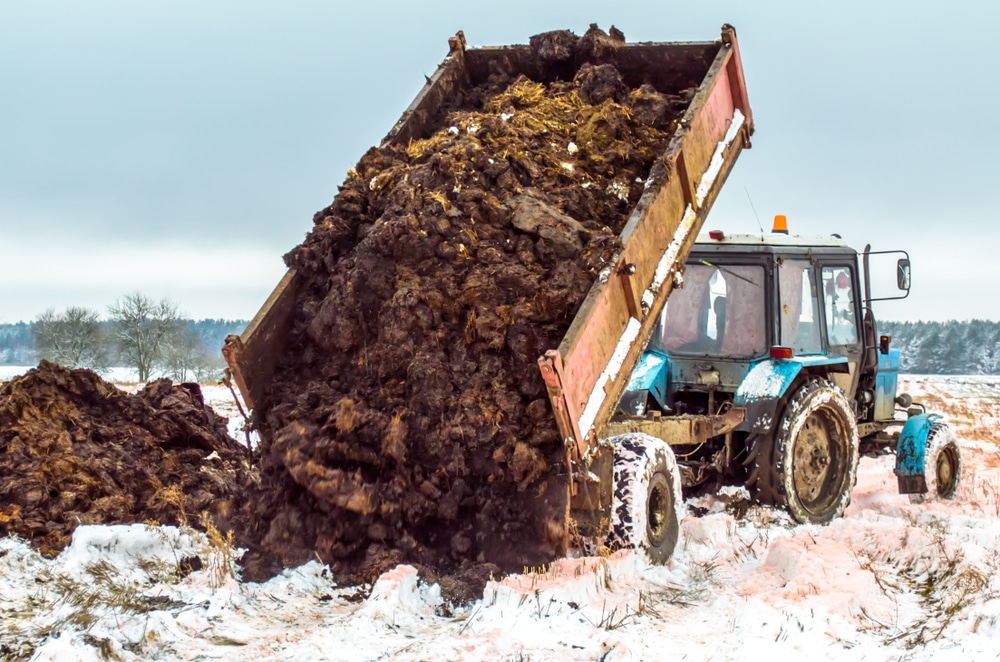 A Hack for Making Winter Manure